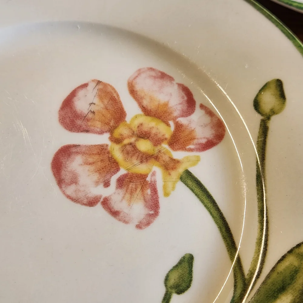 Vintage Pier 1 Floral Salad Plates Set of 5 | Cottagecore Garden Brunch